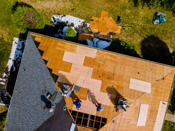 Roof Gutter Cleaning in Fayette, AL
