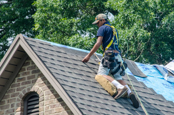 Trusted Fayette, AL Roofing Contractor Experts